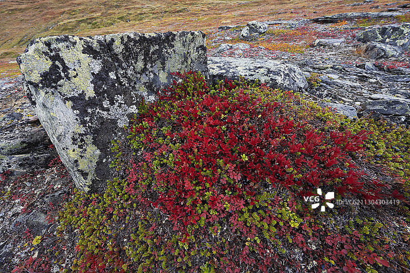 瑞典拉普兰阿比斯科国家公园秋色斑斓的山景图片素材