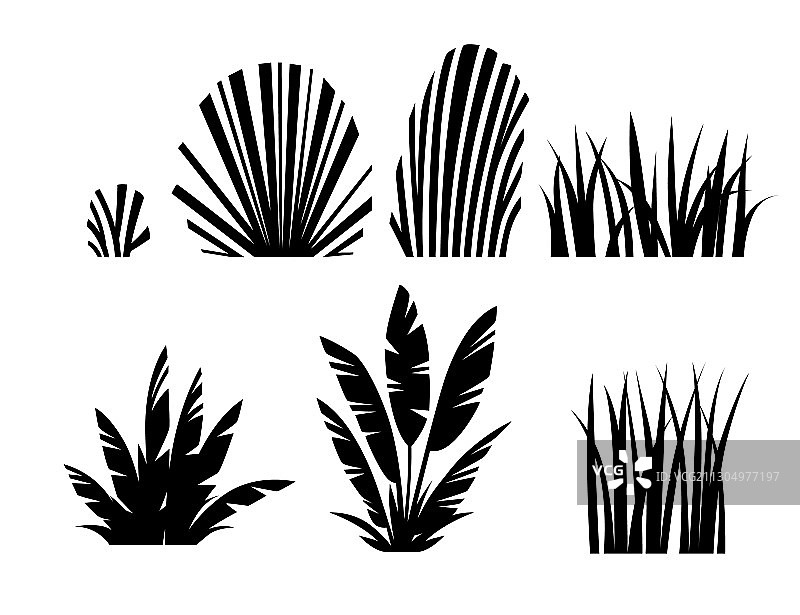 黑色剪影设置草和灌木现代图片素材