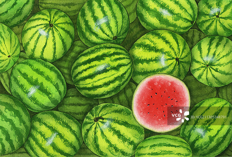 手绘水彩很多水果西瓜素材元素插画图片素材