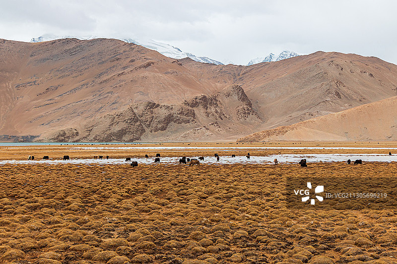 中国新疆帕米尔高原风光图片素材