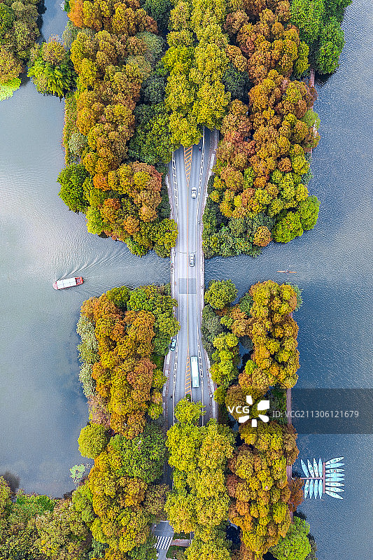 杭州西湖风景区杨公堤秋色航拍图片素材