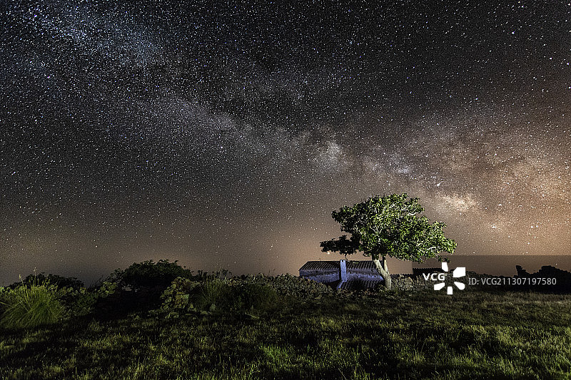 西班牙巴利阿里群岛，夜晚田野上的树木映衬着天空图片素材