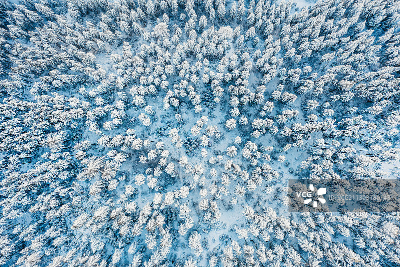 林海雪原图片素材