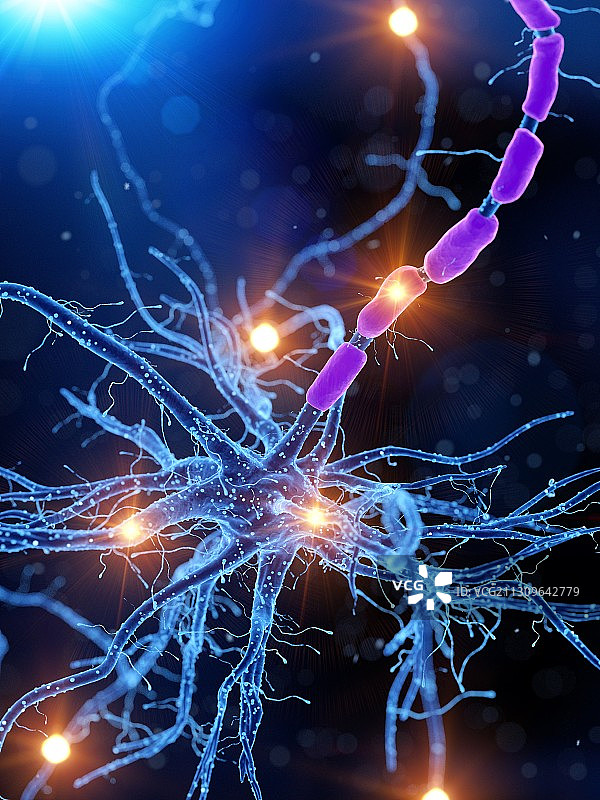 活跃的人类神经细胞的图解图片素材