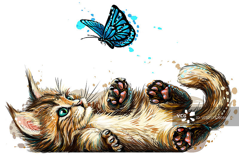 一只小猫在玩墙上的蝴蝶贴纸图片素材