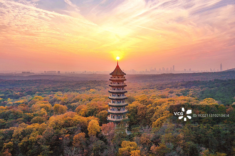 南京灵谷寺的秋天图片素材