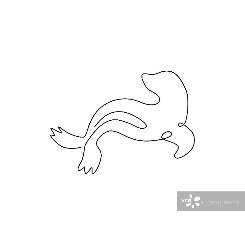 用单线画出可爱的海狮图片素材