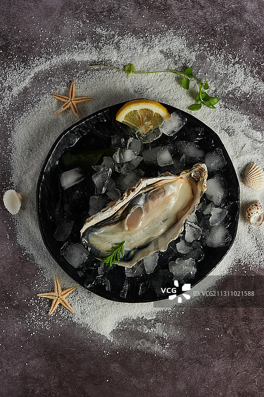 生鲜牡蛎蚝海鲜图片素材