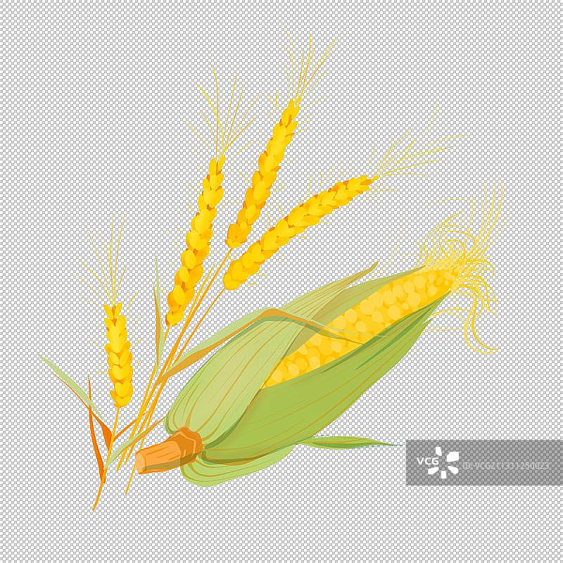农业插画元素玉米小麦粮食丰收图片素材