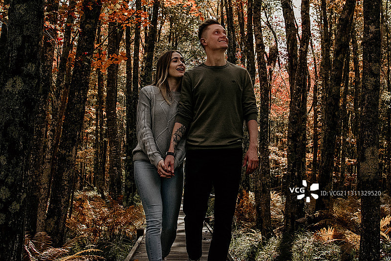 全长夫妇散步在森林，巴尔港，缅因州，美国，美国图片素材