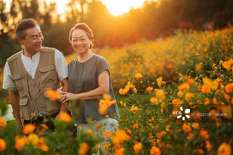 花丛中幸福的老年夫妇图片素材