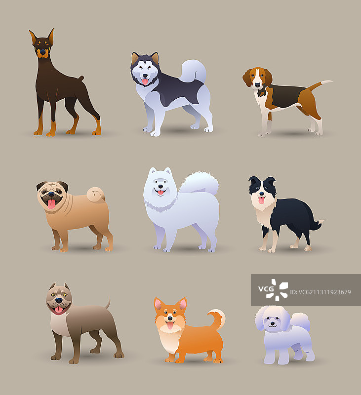 设置9种不同的狗品种图片素材