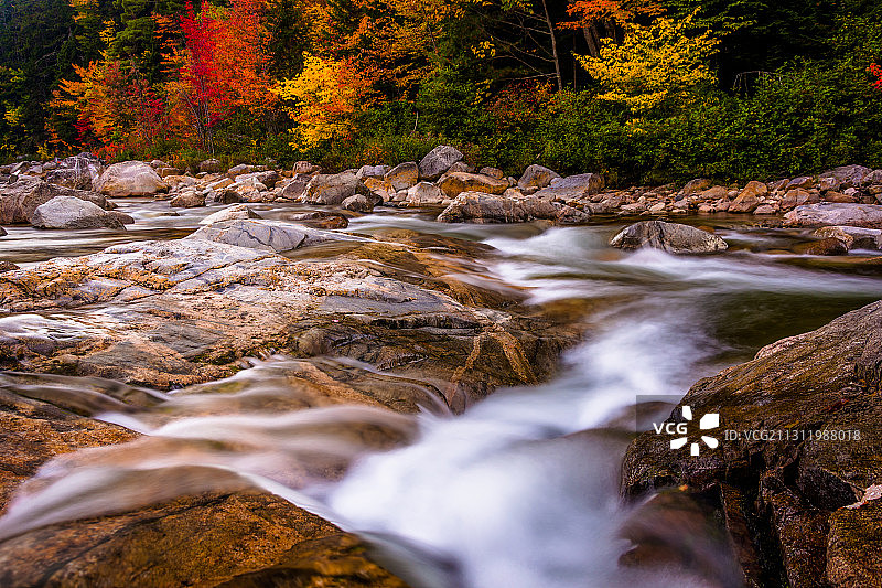 秋天在森林中小溪流动的风景图片素材