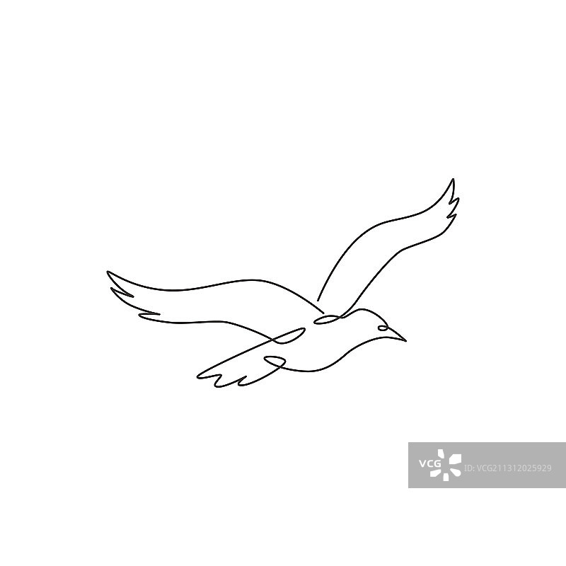 单线画野海鸥图片素材