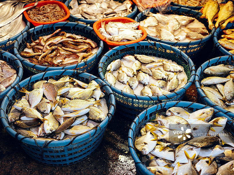 厦门海鲜市场图片素材