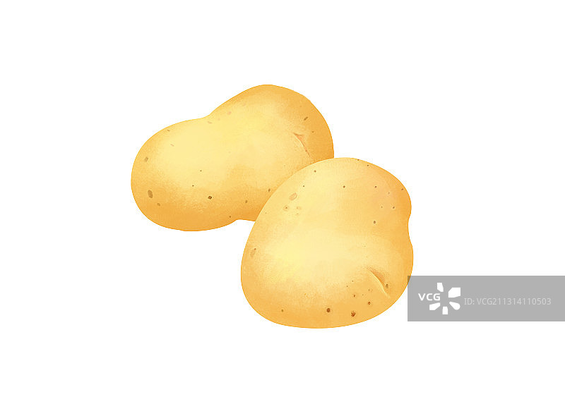 小清新写实卡通成熟新鲜的土豆插画图片素材