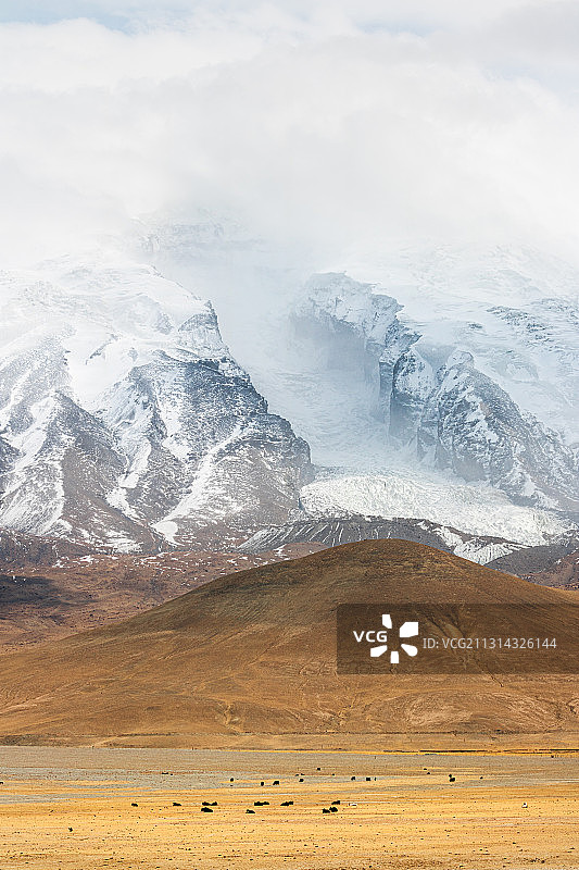 帕米尔高原雪山牧场风光图片素材