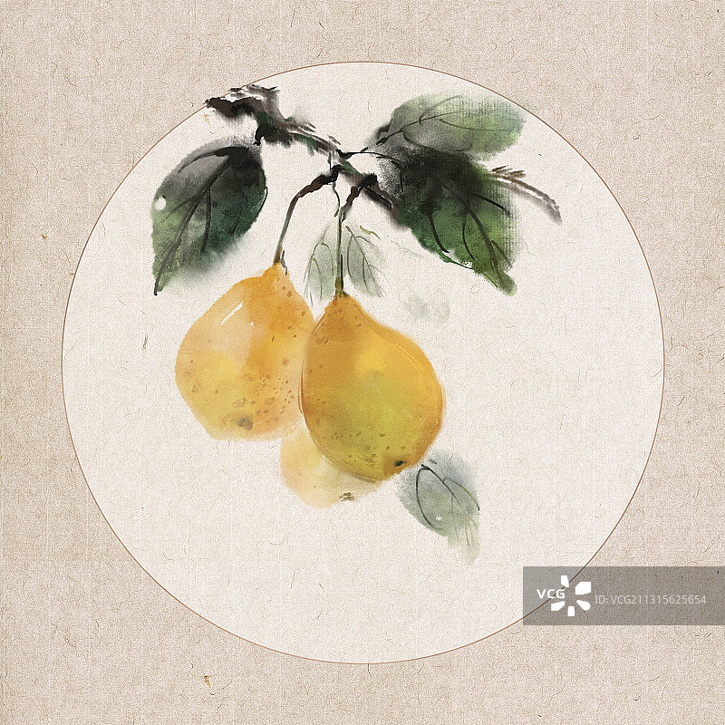 中国风古风水墨写意水果插画 ——梨子图片素材