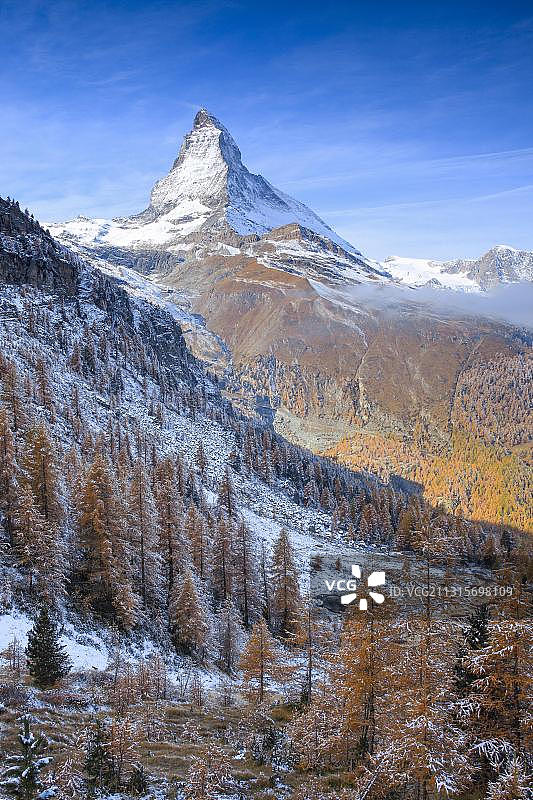 马特洪峰和落叶松，瓦莱州，瑞士，欧洲图片素材