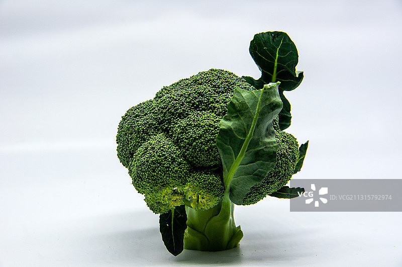 蔬菜西兰花图片素材