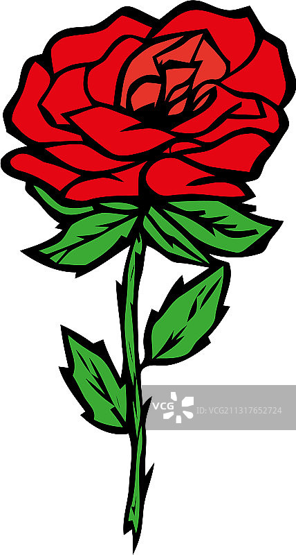 红色玫瑰，绿叶孤立在白色上图片素材