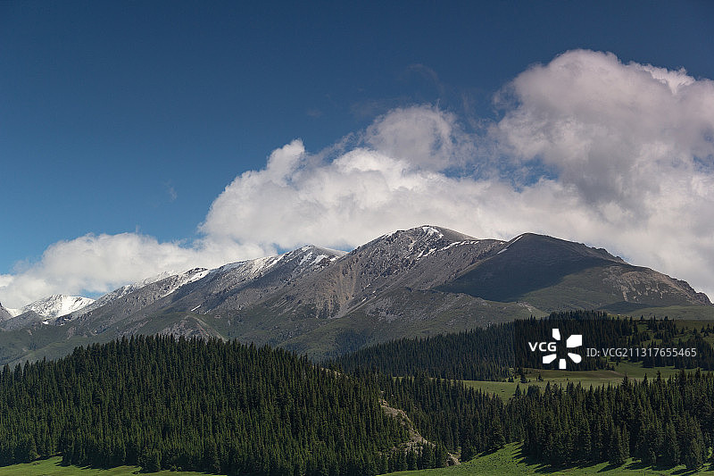 新疆 天山山脉 博尔塔拉 赛里木湖 原始森林 湖泊 草原图片素材