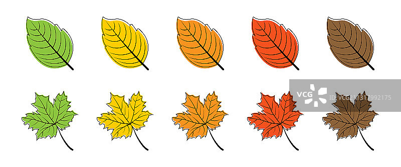 叶子季节叶子不同的颜色图片素材