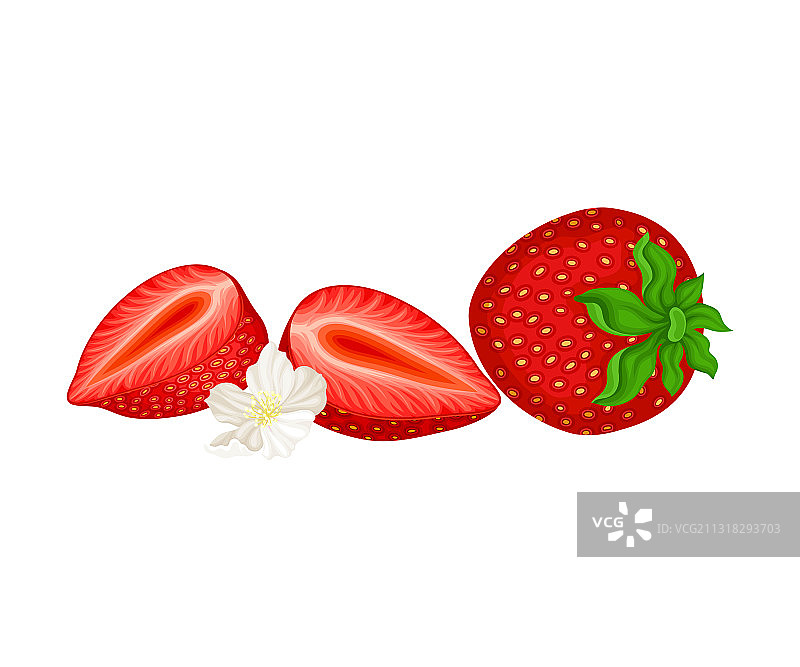 花园草莓带有成熟的红色水果部分图片素材