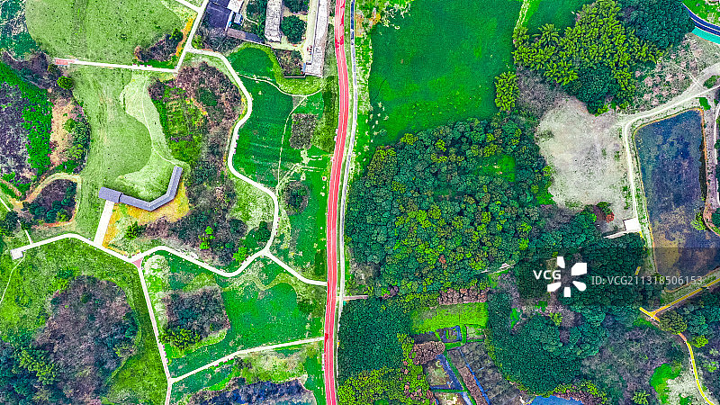 成都青龙湖湿地公园航拍图片素材