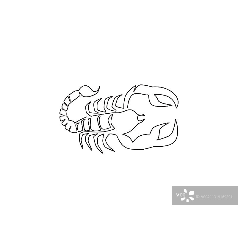 单连续线画致命的蝎子图片素材