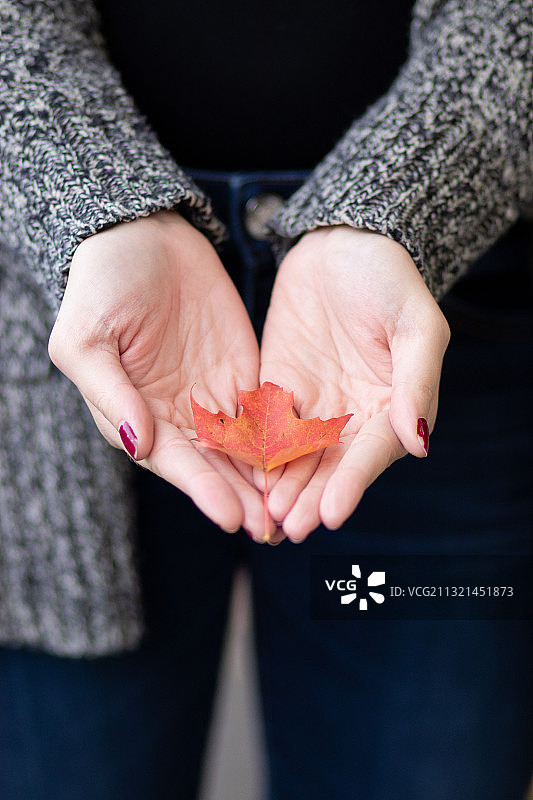 抱着秋叶的女人的腹部，渥太华，安大略省，加拿大图片素材