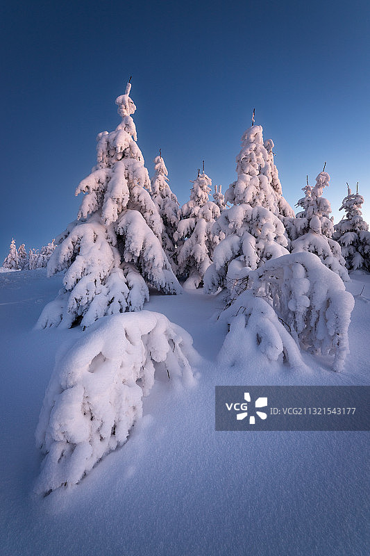白雪覆盖的土地与清澈的蓝天，德国，德国图片素材