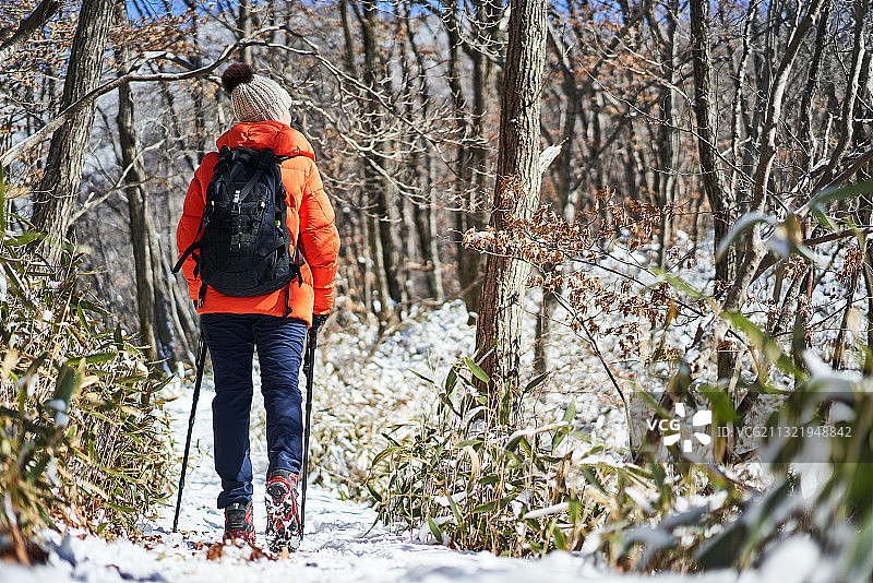 冬季，登山，远足，爬山，步道，力量，步行，爱好，冰爪，运动图片素材