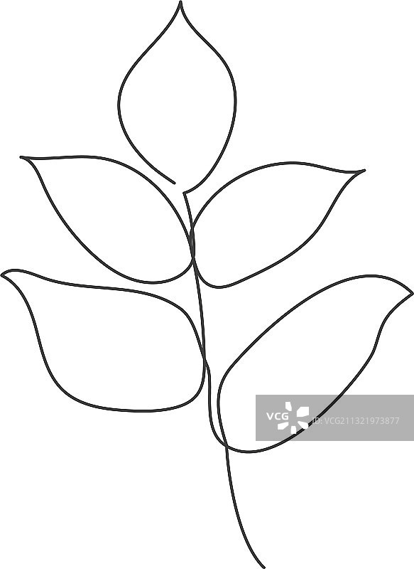 用一条连续的线画出的植物图片素材