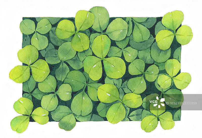 手绘水彩植物叶子群三叶草素材元素插画图片素材