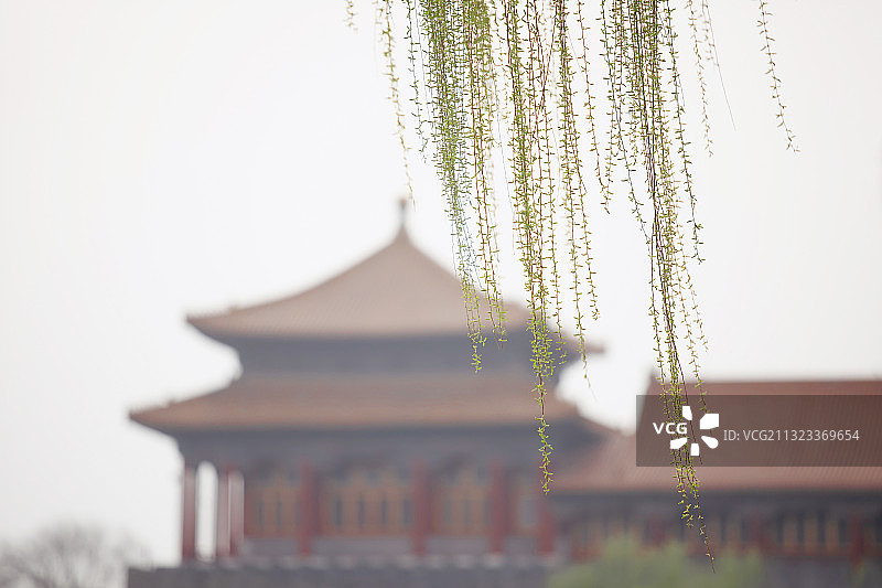 亭台楼阁,垂柳,雾,中国文化图片素材