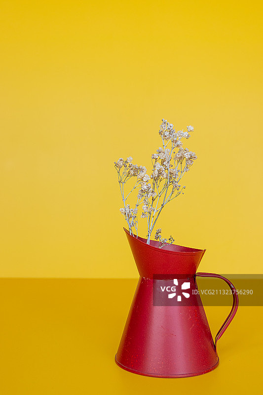 乔治亚州布福德，黄色背景下的花瓶中的黄色花朵特写图片素材