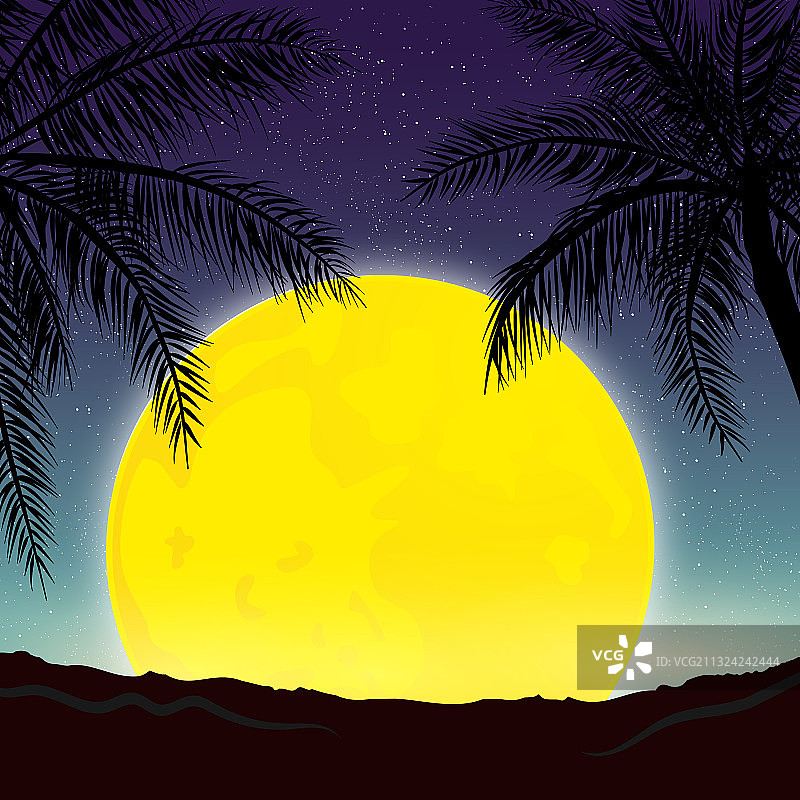 夜晚全景月亮在背景棕榈图片素材
