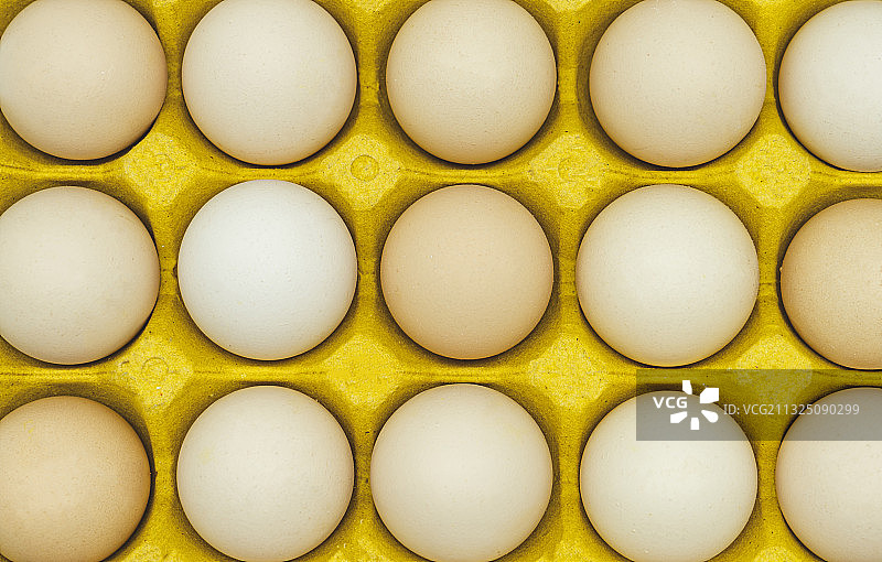 卵,清新,鸡蛋,图像,有机食品图片素材
