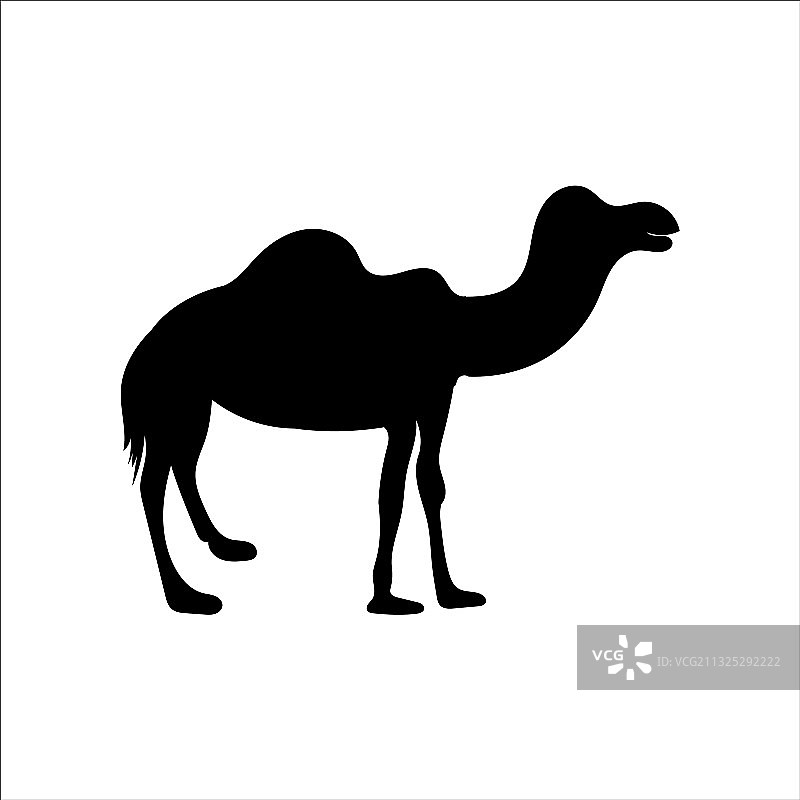 骆驼图形图标图片素材