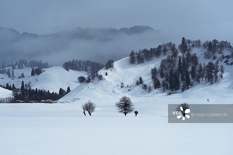 寂静的雪原那拉提图片素材
