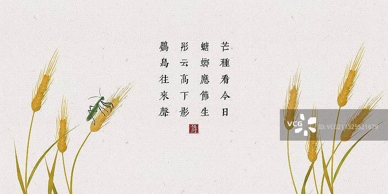 中国风古诗词插画展板芒种图片素材