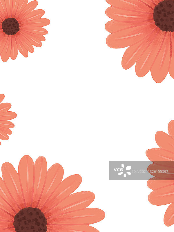 红色非洲雏菊花单品花卉相框壁纸纹理印花素材元素插画图片素材