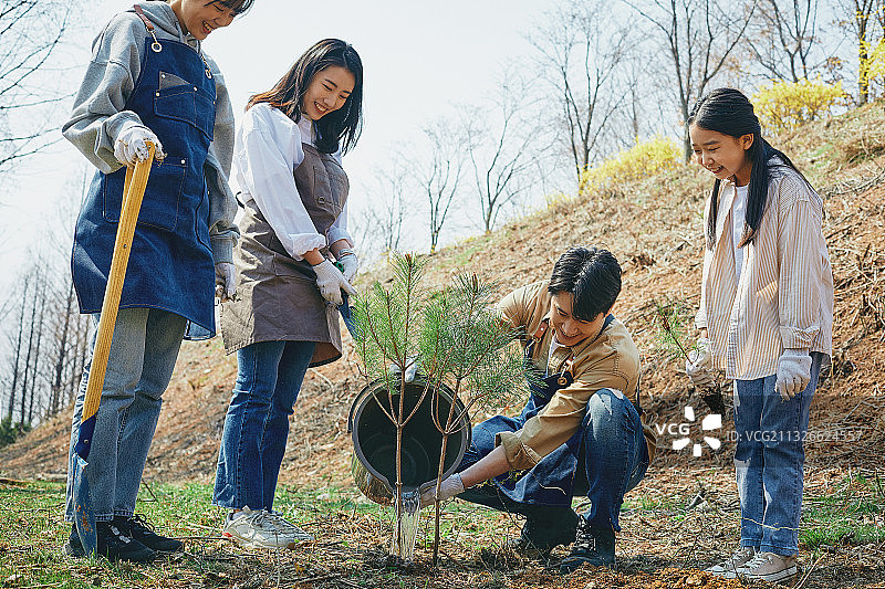 韩国人，树苗，植树节，环保，植树，女人，男人，孩子，撒播图片素材