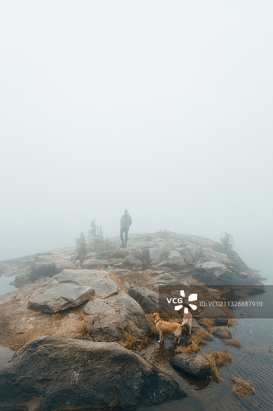 美国帕耶特国家森林，人和宠物狗在雾天站在岩石上图片素材