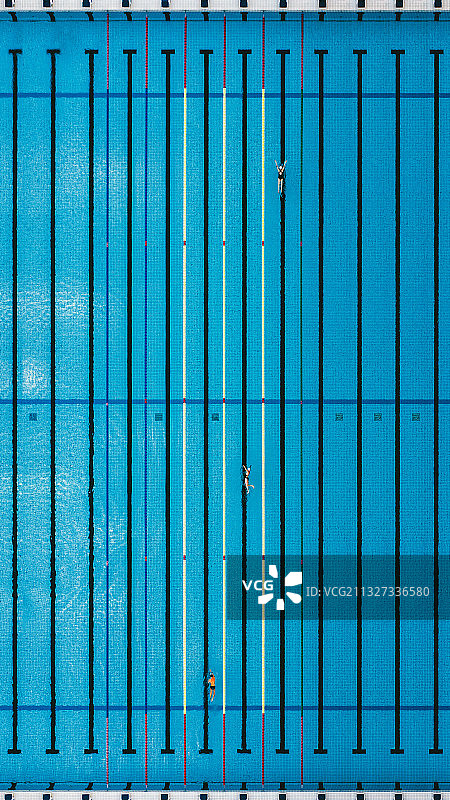 航拍游泳池中比赛的运动员图片素材