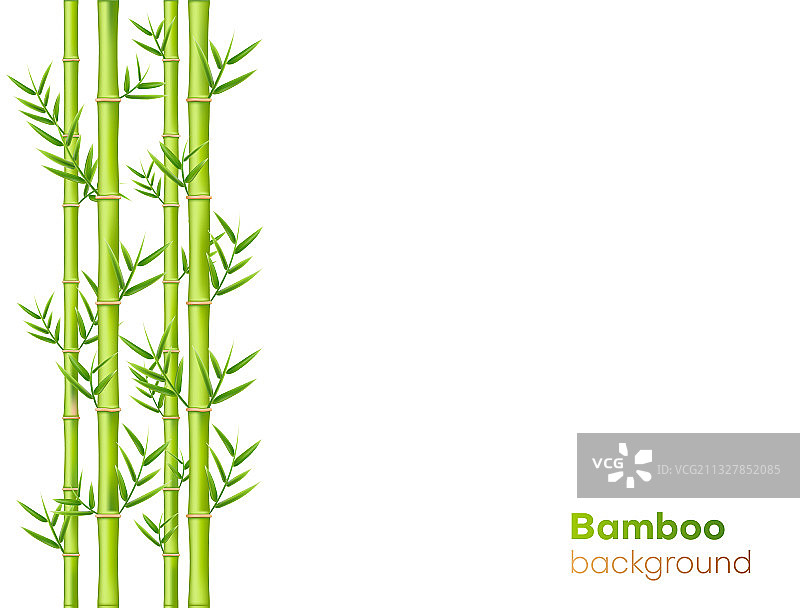 竹木背景设计自然绿色东方图片素材