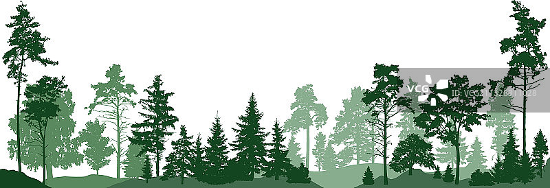 在白色背景上孤立的森林树木图片素材