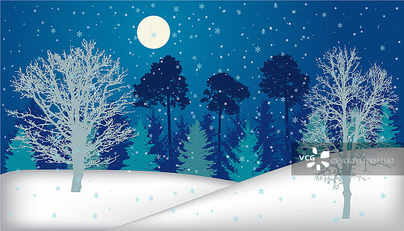 夜晚森林里的树木在冬天下雪图片素材