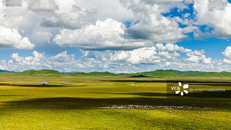 中国四川阿坝若尔盖草原的蓝天白云图片素材